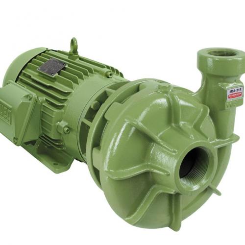 Motobombas Centrífugas Monoestágio MSA-21 SCHNEIDER