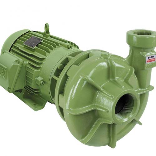Motobombas Centrífugas Monoestágio BC-21 SCHNEIDER