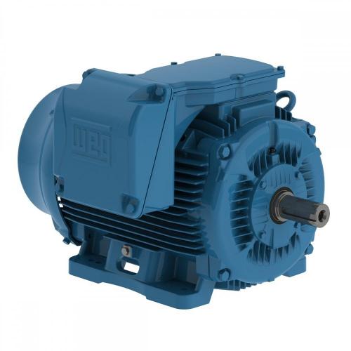 Motor Elétrico W22 Dahlander 8/4 polos Trifásico WEG