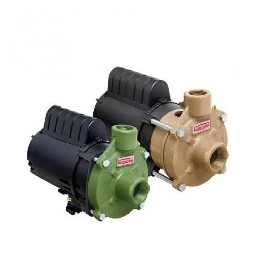 Motobomba Centrífuga Monoestágio BC-91 SCHNEIDER