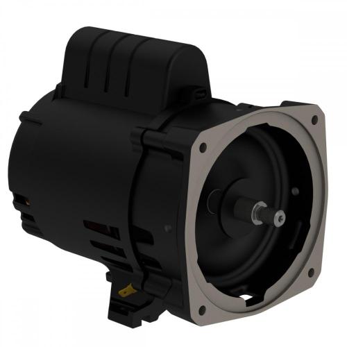 Motor Elétrico WPump com Flange Incorporada WEG