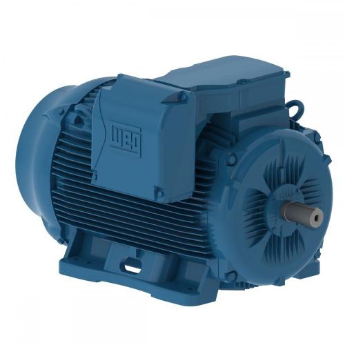 Motor Elétrico W22 - 10 & 12 Polos Trifásico WEG