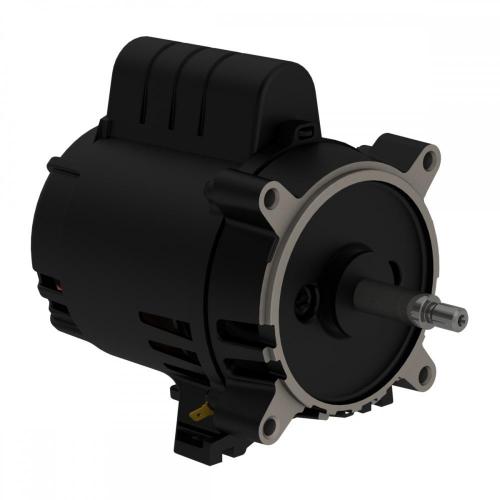 Motor Elétrico WPump Forma J (Rosca) WEG